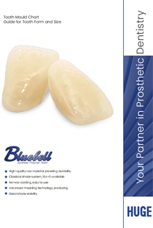 BLUEBELL Mould Chart