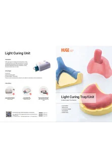 Flyer-Light Curing Tray & Unit