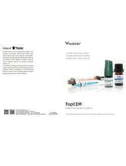 TopCEM Indirect Restorative Solution